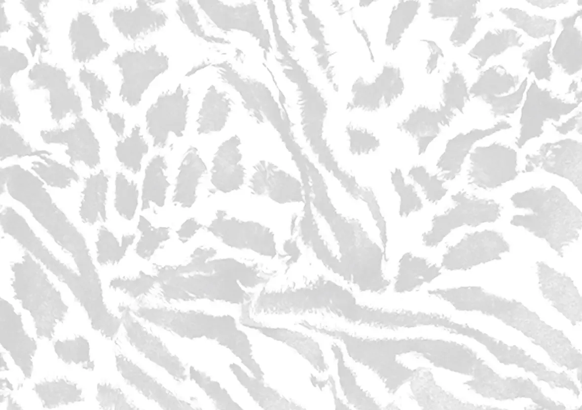 Map Background image